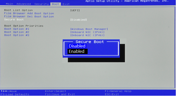 enable secure boot